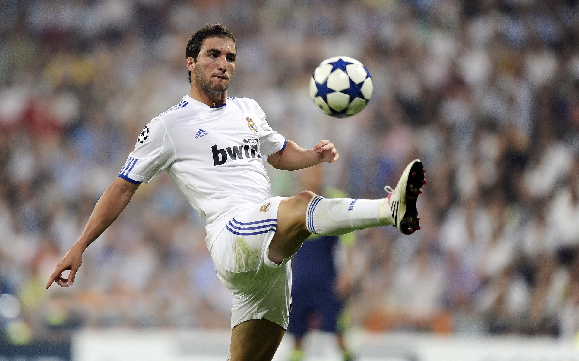 新秀崭露头角，未来之星迎来爆发！，未来之星指什么人物