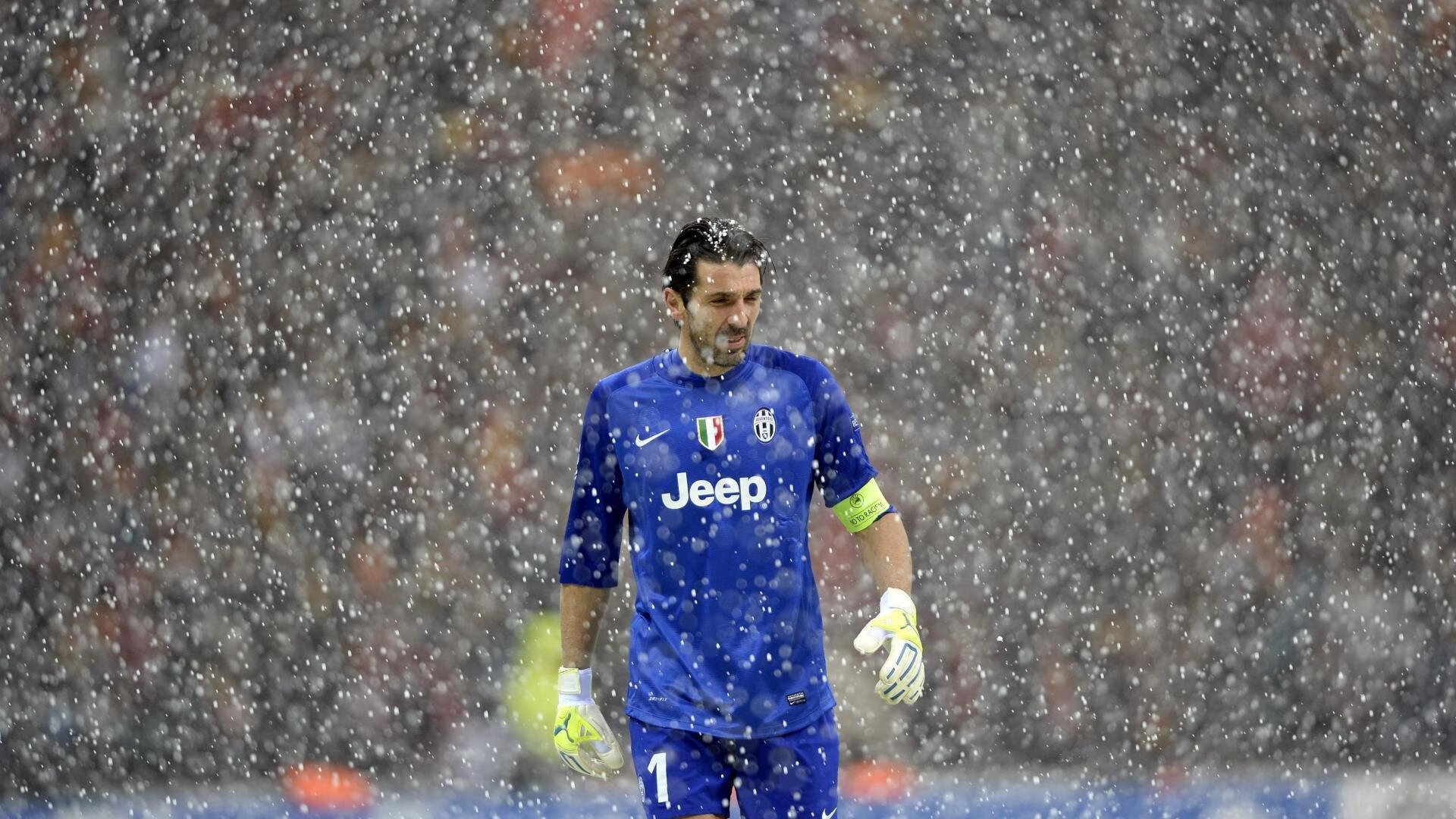 足球青训体系纳入国家体育发展纲要，足球青训体系是什么